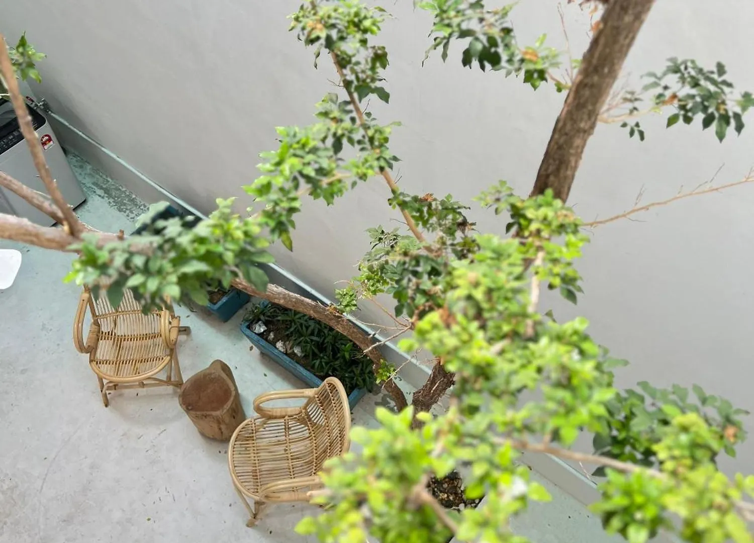 Treehaus 38 Moulmein By Ssl - Pulau Tikus Georgetown